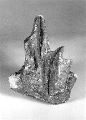 capitello corinzio/ calato